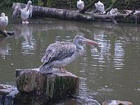S6000038 800x600