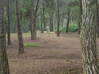 S6000057 800x600