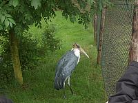 S6000058 800x600