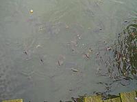 S6000060 800x600