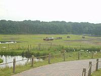 S6000071 800x600