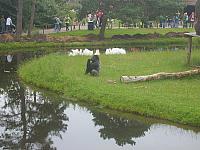 S6000102 800x600