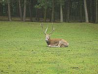 S6000120 800x600