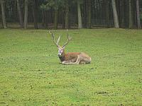 S6000121 800x600