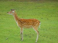 S6000124 800x600