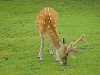 S6000125 800x600