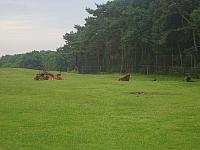 S6000131 800x600