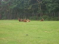 S6000132 800x600