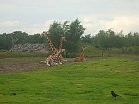 S6000142 800x600