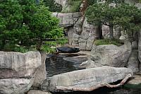 3 08 08 19 Blijdorp
