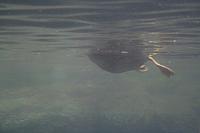 IMG 0022 800x533