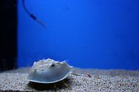 IMG 0059 800x533