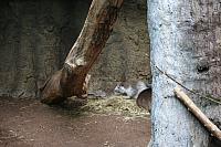 IMG 0084 800x533