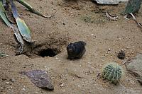 IMG 0120 800x533