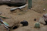 IMG 0124 800x533