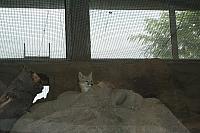 IMG 0132 800x533