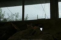 IMG 0137 800x533