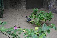 IMG 0138 800x533