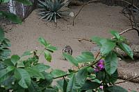 IMG 0143 800x533