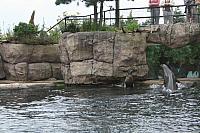 IMG 0176 800x533