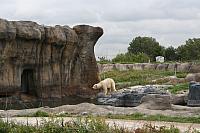 IMG 0188 800x533