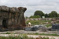 IMG 0189 800x533