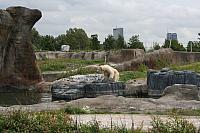 IMG 0192 800x533