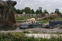 IMG 0194 800x533