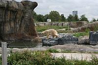 IMG 0196 800x533