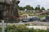 IMG 0198 800x533