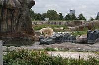 IMG 0199 800x533