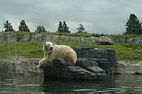 IMG 0211 800x533
