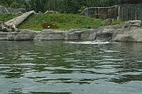 IMG 0224 800x533