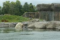 IMG 0227 800x533