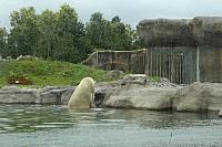 IMG 0231 800x533