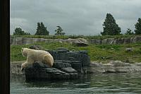 IMG 0232 800x533