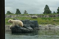 IMG 0233 800x533