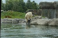 IMG 0236 800x533