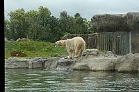 IMG 0240 800x533