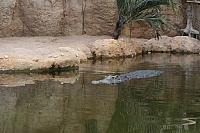IMG 0442 800x533