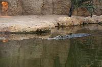 IMG 0444 800x533