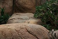 IMG 0457 800x533