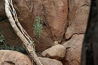 IMG 0460 800x533