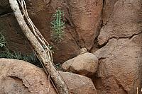 IMG 0463 800x533