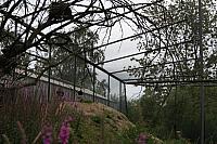IMG 0471 800x533