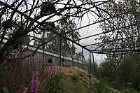 IMG 0473 800x533
