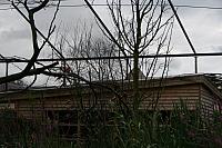 IMG 0488 800x533