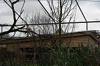 IMG 0489 800x533