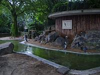 S6000030 800x600