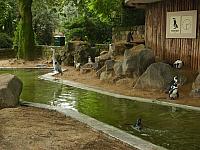 S6000031 800x600